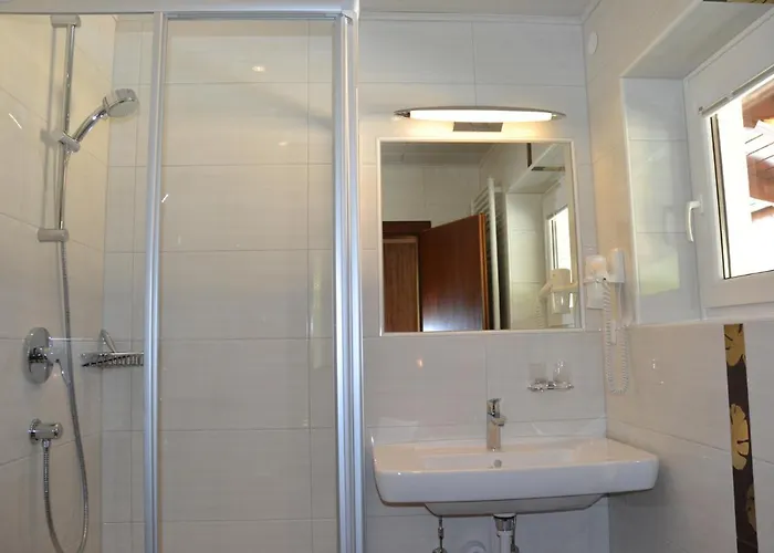 Schistube Steiner 3* Ramsau am Dachstein