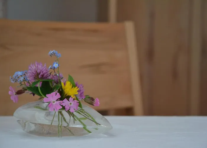 Bed & Breakfast Schistube Steiner 3*